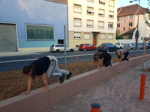 Rentree Parkour PKSTRAS 2020 09